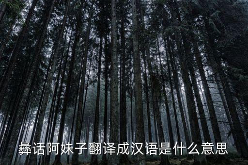 彝族阿咪子是什么意思，阿咪子是什么意思