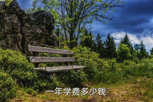 一年学费多少钱