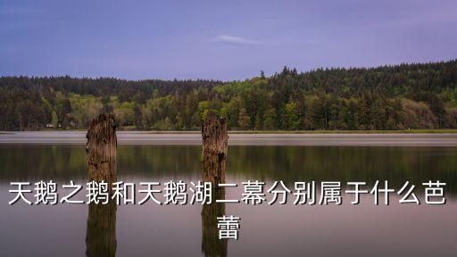 天鹅之鹅和天鹅湖二幕分别属于什么芭蕾