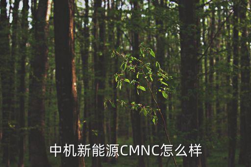 中机新能源CMNC怎么样