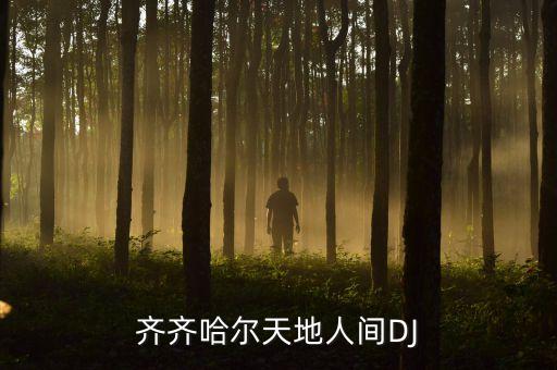 齐齐哈尔天地人间DJ