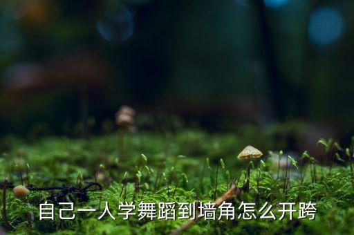自己一人学舞蹈到墙角怎么开跨