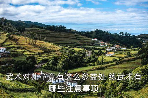 武术对儿童竟有这么多益处 练武术有哪些注意事项