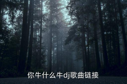 你牛什么牛dj歌曲链接