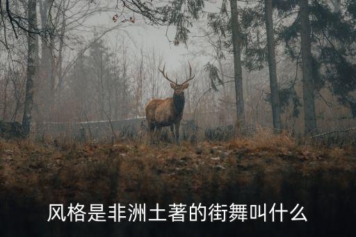 风格是非洲土著的街舞叫什么