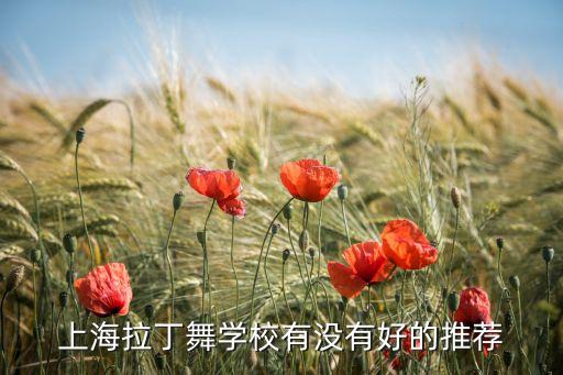 上海拉丁舞学校有没有好的推荐