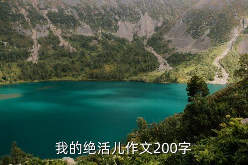 我的绝活儿作文200字
