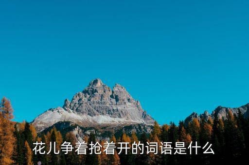 花儿争着抢着开的词语是什么