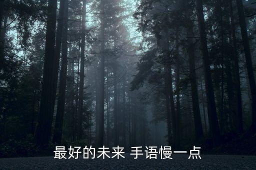 最好的未来 手语慢一点