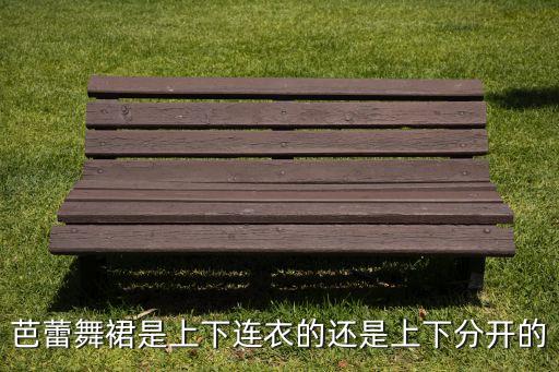 芭蕾舞的裙子是什么裙，芭蕾舞裙的材料是什么