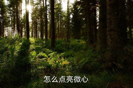 怎么点亮微心
