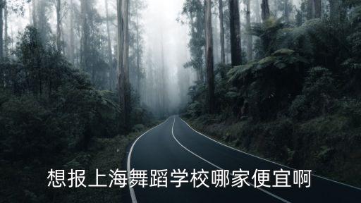 想报上海舞蹈学校哪家便宜啊