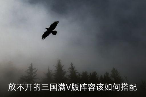 放置三国破解版满v，放不开的三国满V版阵容该如何搭配