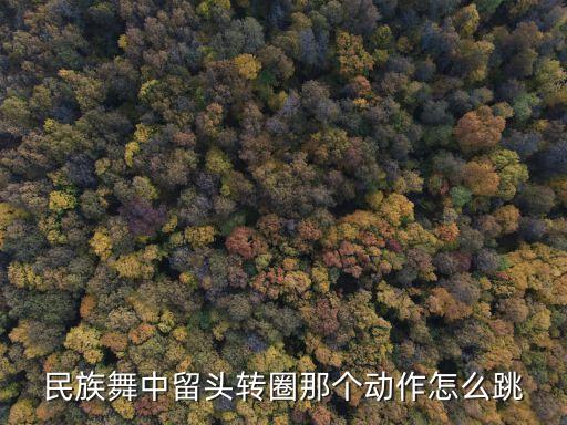 民族舞中留头转圈那个动作怎么跳