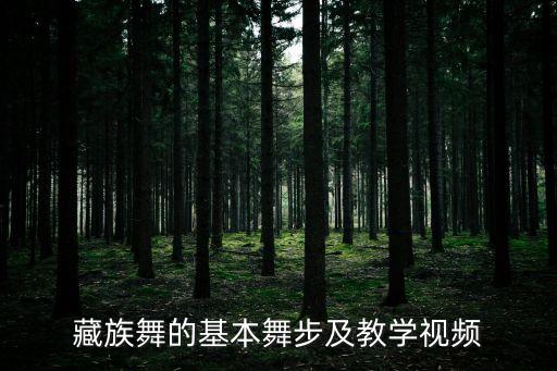 民族舞初学视频，藏族舞的基本舞步及教学视频