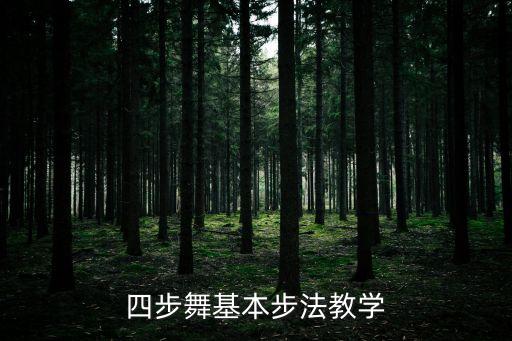 四步舞基本步法教学