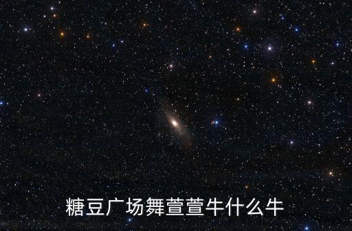 你牛什么牛中班舞蹈，糖豆广场舞萱萱牛什么牛
