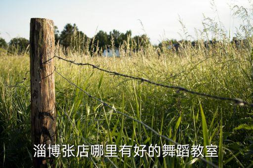 淄博张店哪里有好的舞蹈教室