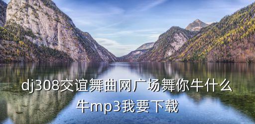 dj308交谊舞曲网广场舞你牛什么牛mp3我要下载