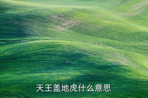 天王盖地虎什么意思