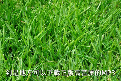到是地方可以下载正版高音质的MP3