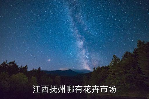 抚州左岸风情小区在哪里，江西抚州哪有花卉市场