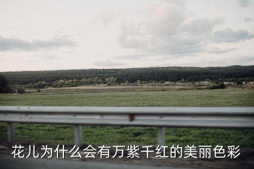 花儿为什么会有万紫千红的美丽色彩