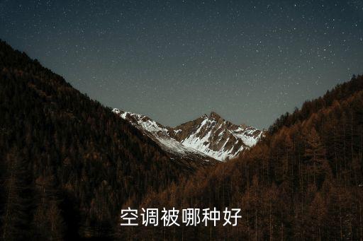 空调被哪种好