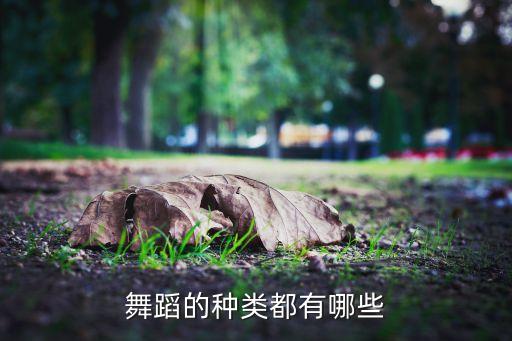 舞蹈的种类都有哪些