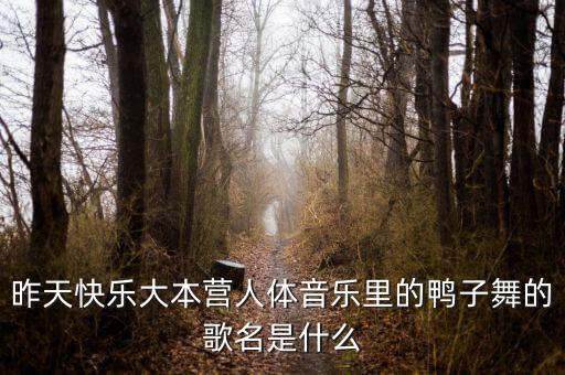 昨天快乐大本营人体音乐里的鸭子舞的歌名是什么