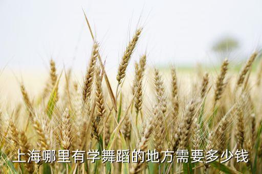 上海国际舞蹈学校学费多少，上海哪里有学舞蹈的地方需要多少钱