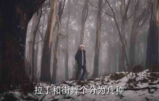 拉丁和街舞个分为几种