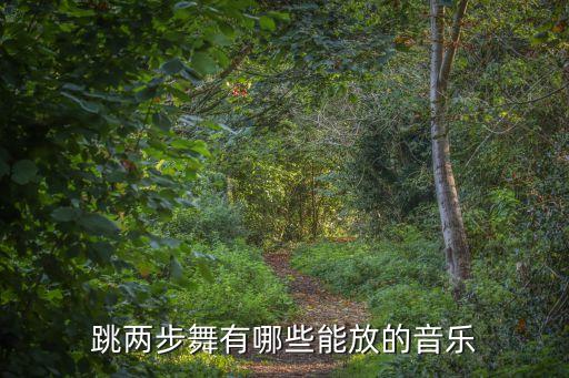 跳两步舞有哪些能放的音乐
