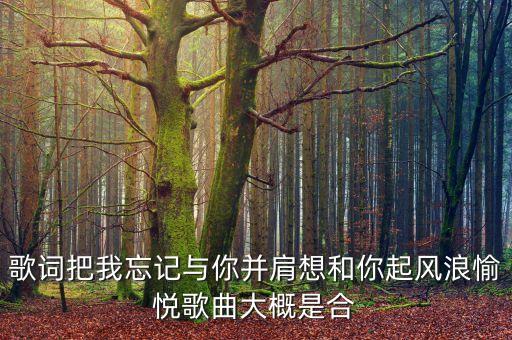 歌词把我忘记与你并肩想和你起风浪愉悦歌曲大概是合