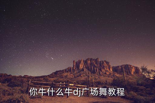 你牛什么牛dj广场舞教程