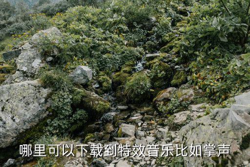 哪里可以下载到特效音乐比如掌声
