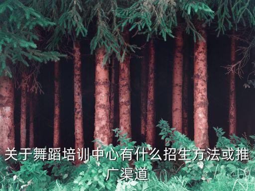 关于舞蹈培训中心有什么招生方法或推广渠道