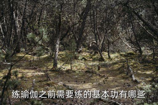 练瑜伽之前需要练的基本功有哪些