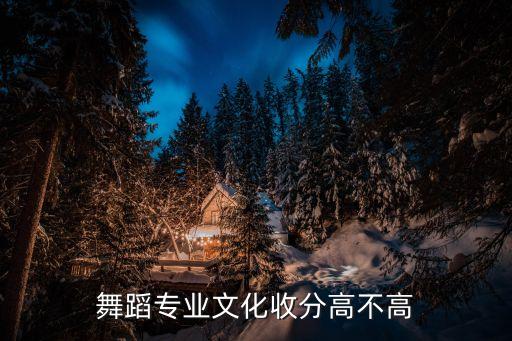 舞蹈专业文化收分高不高