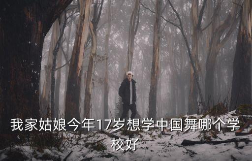 我家姑娘今年17岁想学中国舞哪个学校好