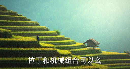 拉丁和机械组合可以么