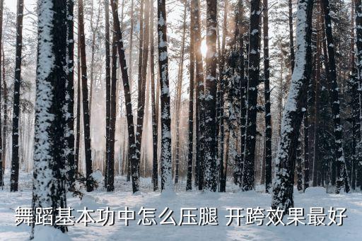 舞蹈基本功中怎么压腿 开跨效果最好