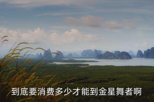 到底要消费多少才能到金星舞者啊