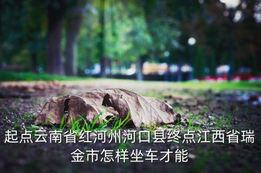 起点云南省红河州河口县终点江西省瑞金市怎样坐车才能