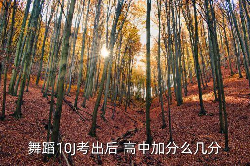 舞蹈考多少级才能加分，舞蹈10J考出后 高中加分么几分