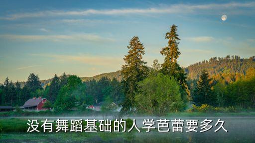 没有舞蹈基础的人学芭蕾要多久