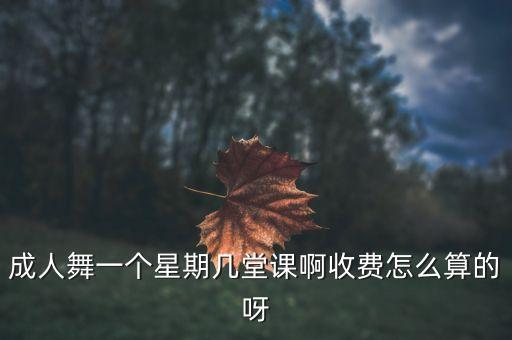 舞蹈班一学期多少节课，成人舞一个星期几堂课啊收费怎么算的呀