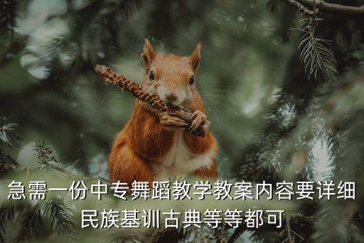 急需一份中专舞蹈教学教案内容要详细民族基训古典等等都可
