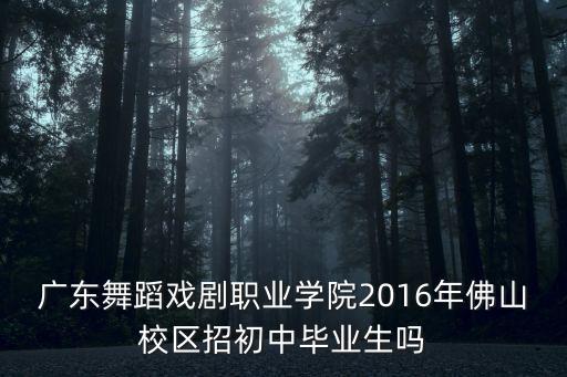 广东舞蹈戏剧职业学院2016年佛山校区招初中毕业生吗