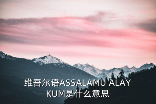 维吾尔语ASSALAMU ALAYKUM是什么意思